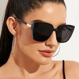 Classic Large Frame Sunglasses